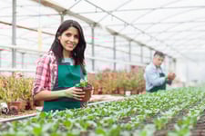 Woman working in the greenhouse holding plant-32906172_XXXLarge_adc1e075