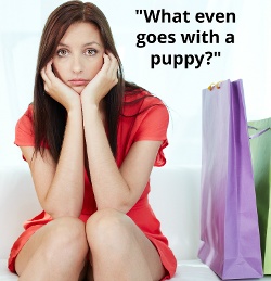 what-even-goes-with-a-puppy?