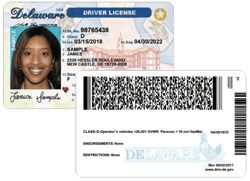 delaware-license-example
