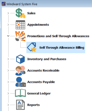 Promotions and Sell Through Allowances
