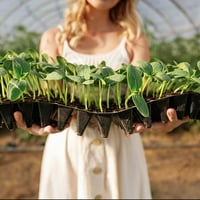 woman-holding-plants-in-plastic-little-pots-1