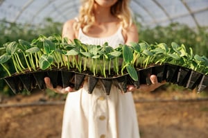 woman-holding-plants-in-plastic-little-pots-1