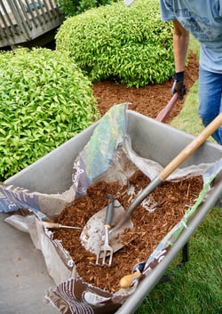 woman-using-a-wheelbarrow-full-of-mulch-as-she-doe-2023-11-27-05-00-39-utc