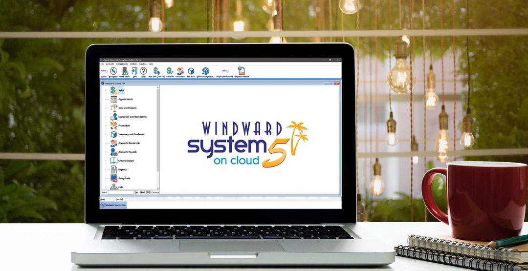 Why All-in-One Beats Plug-and-Play: The Value of ERP Software